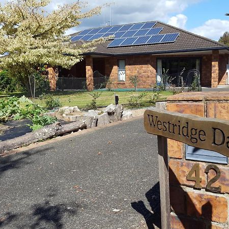 Westridge Dales Apartment Tauranga Exterior foto